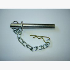 R317,18. Ass Perno Coll Copiglia
