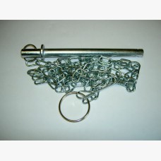 R317,19. Ass. Perno Sicurezza+copiglia